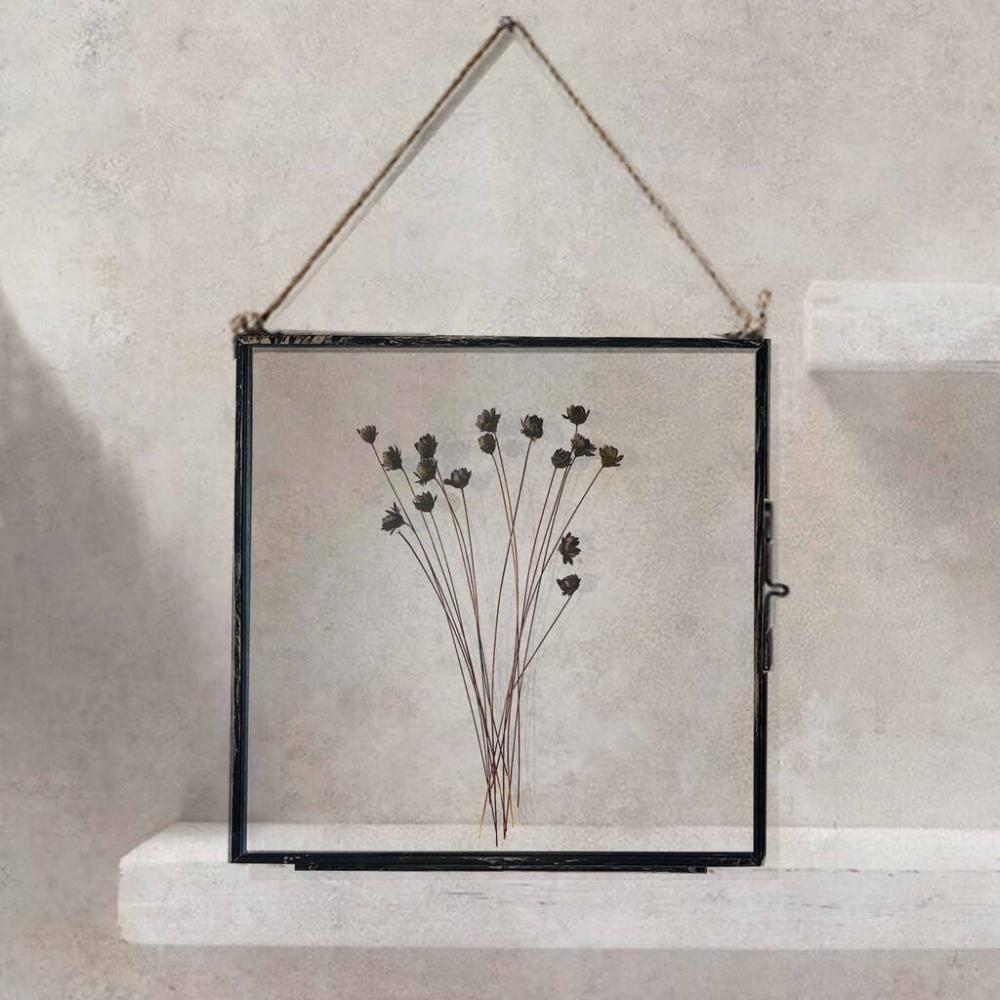 Antique Pressed Flower Frame: Black Daisy Large | Dried flowers Dried flowers Dried flowers