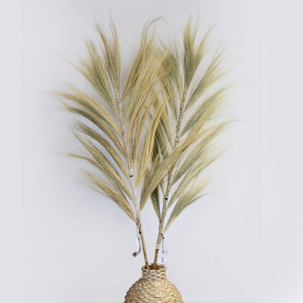 Blonde Rayung Pampas Grass Set | Dried flowers Dried flowers Dried flowers