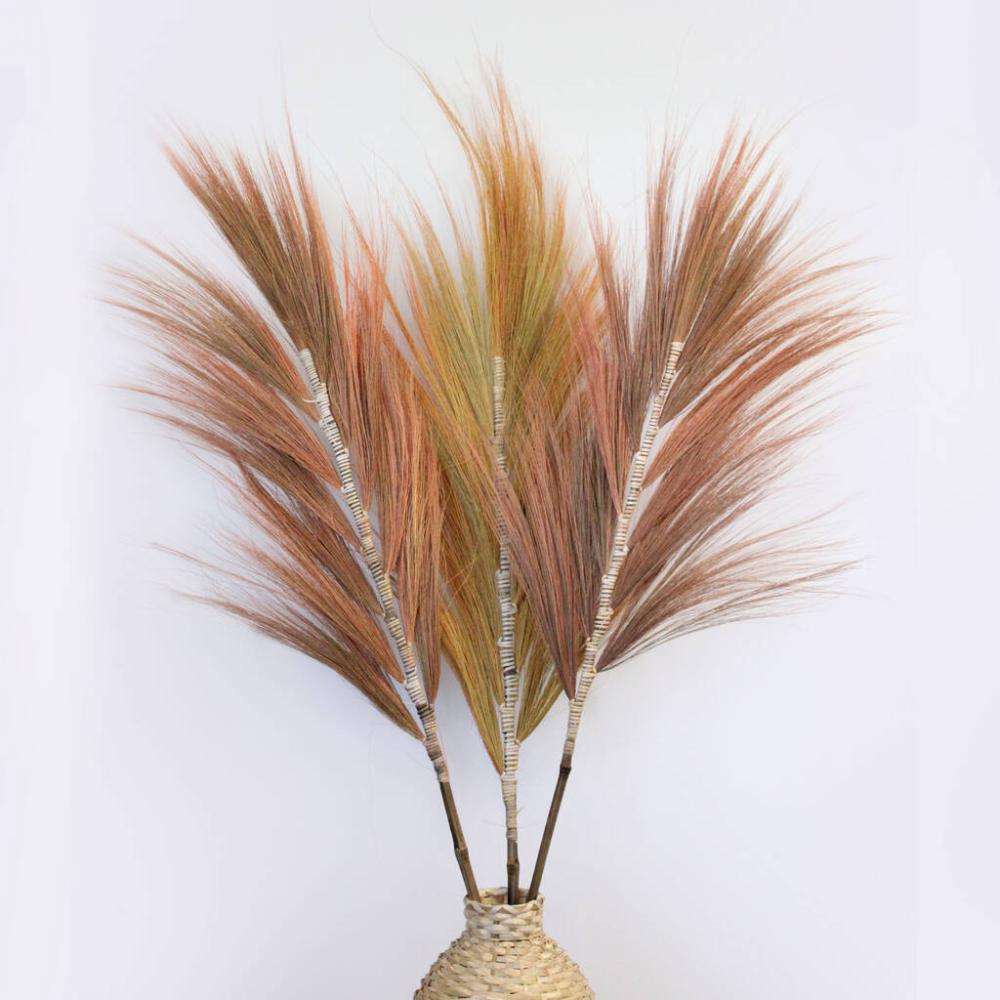 Coral Rayung Pampas Grass Set | Dried flowers Dried flowers Dried flowers