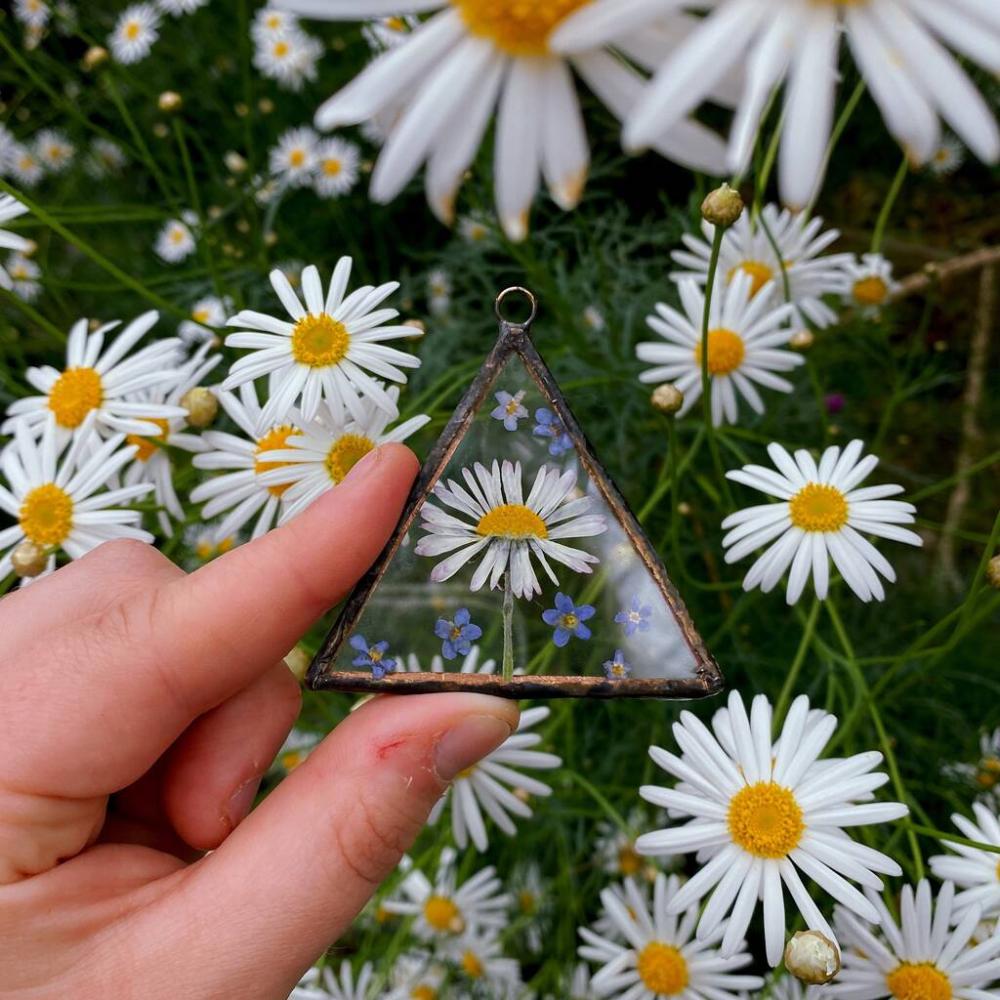 Daisy And Forget Me Not Pressed Flower Triangle Frame | Picture frames Home Accessories Picture frames