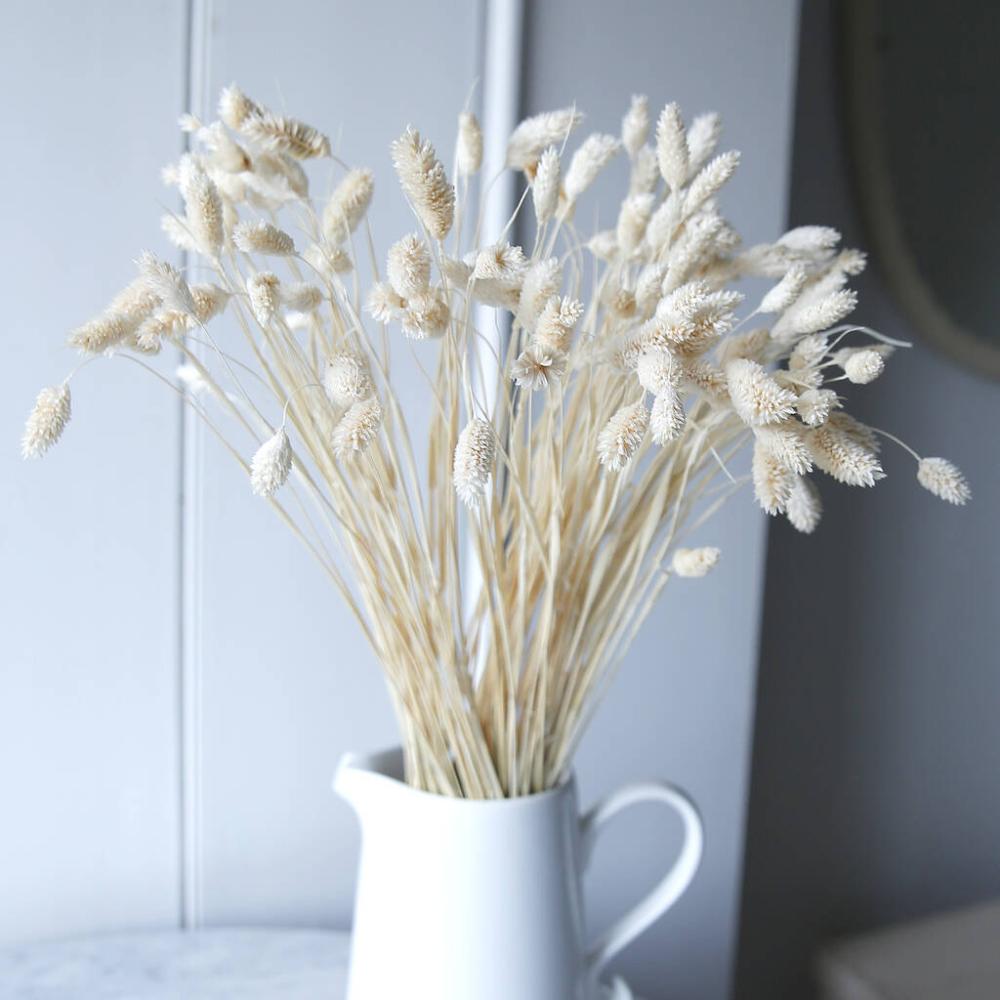 Dried Canary Grass Bouquet | Dried flowers Dried flowers Dried flowers