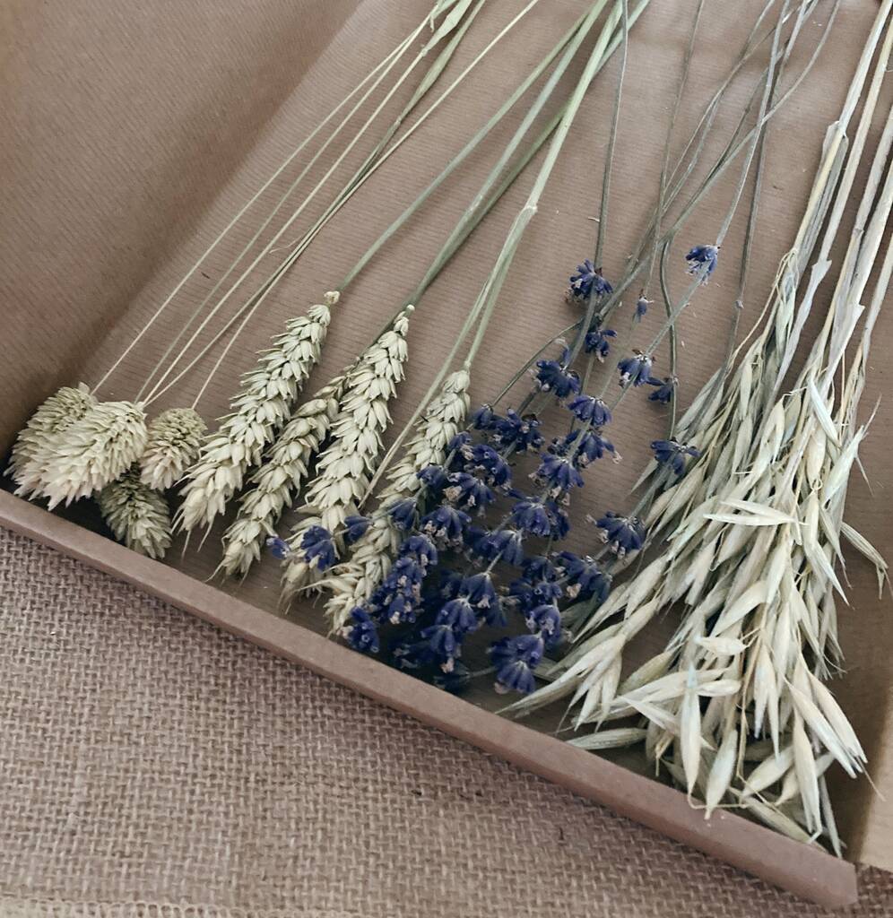 Dried Lavender And Natural Dried Flowers Letterbox Gift | Dried flowers Dried flowers Dried flowers