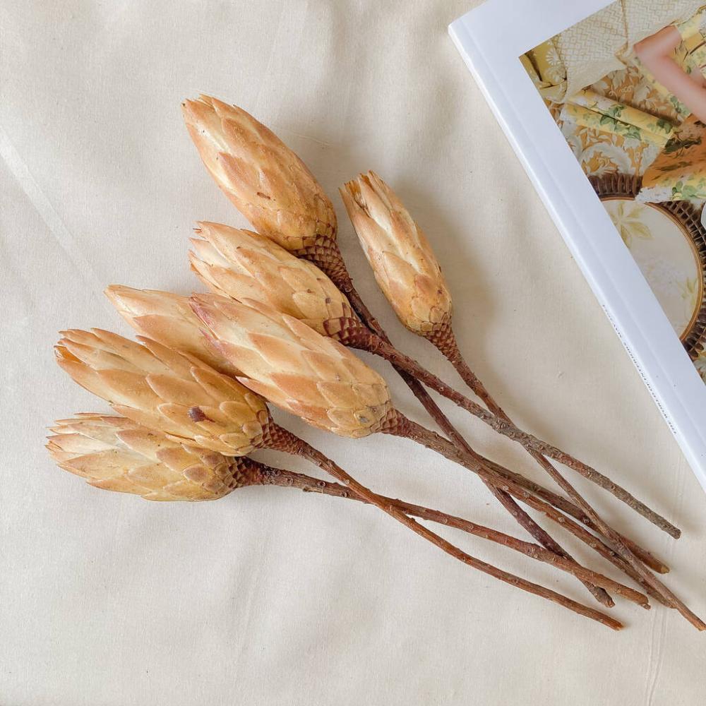 Dried Protea Natural Stem Gift Box | Dried flowers Dried flowers Dried flowers