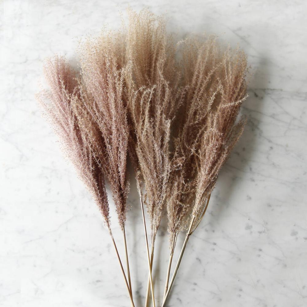 Dried Reed Grass Bouquet | Dried flowers Dried flowers Dried flowers