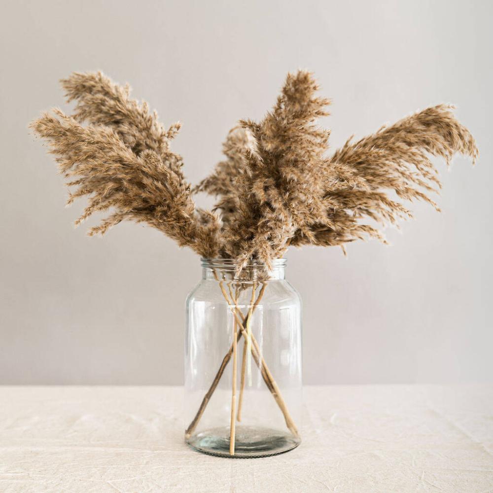 Fluffy Dried Pampas Grass Bouquet | Dried flowers Dried flowers Dried flowers