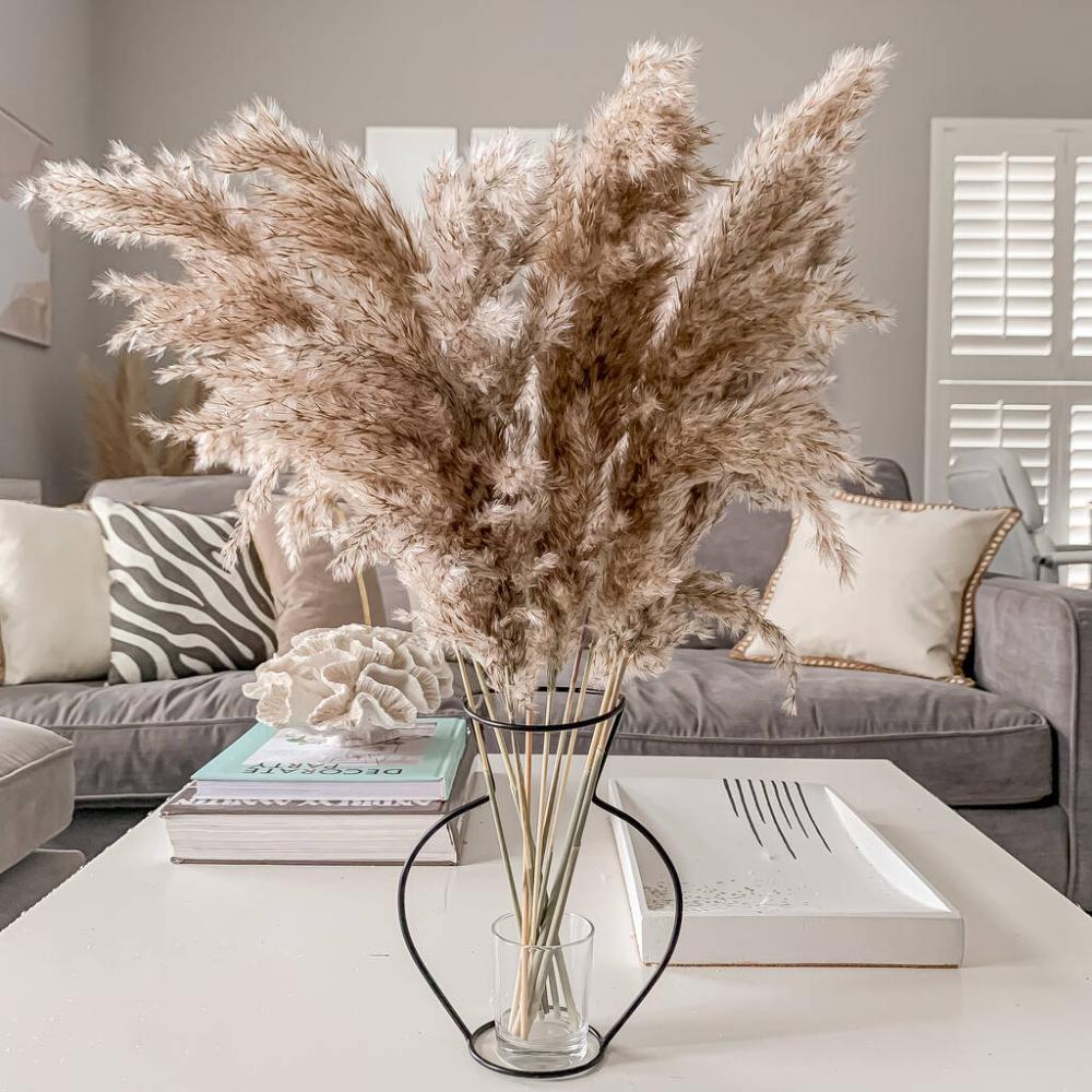 Fluffy Taupe Pampas Grass Bunch | Dried flowers Dried flowers Dried flowers