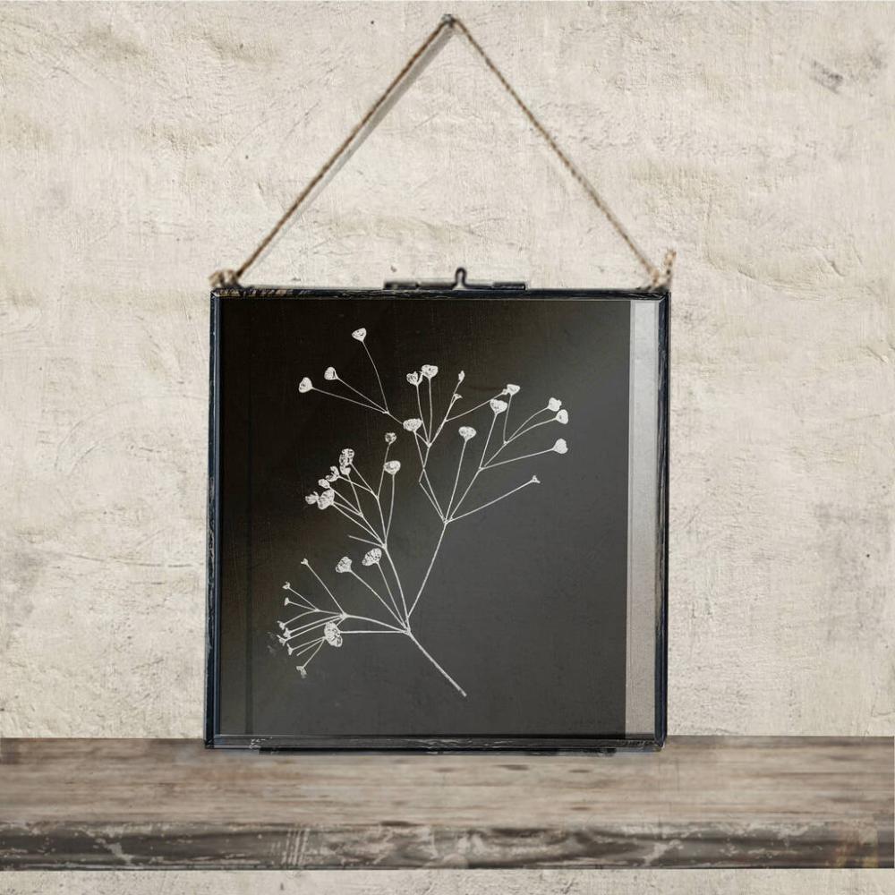 Large Antique Frame: Massasa Flower Art Print | Dried flowers Dried flowers Dried flowers