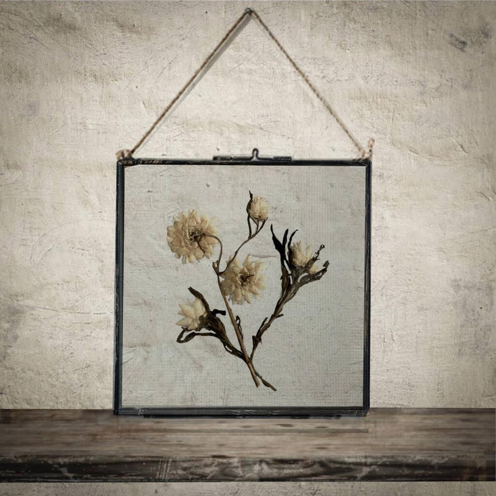 Large Vintage Pressed Flower Frame: Achillea Ptarmica | Dried flowers Dried flowers Dried flowers