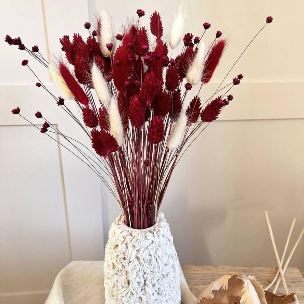 Mini Red And White Bunny Tail Arrangement | Dried flowers Dried flowers Dried flowers