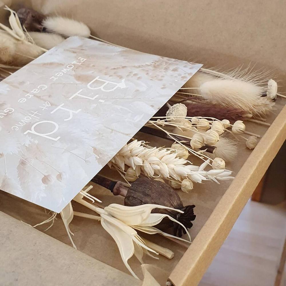 Natural Mixed Dried Letterbox Flowers | Dried flowers Dried flowers Dried flowers