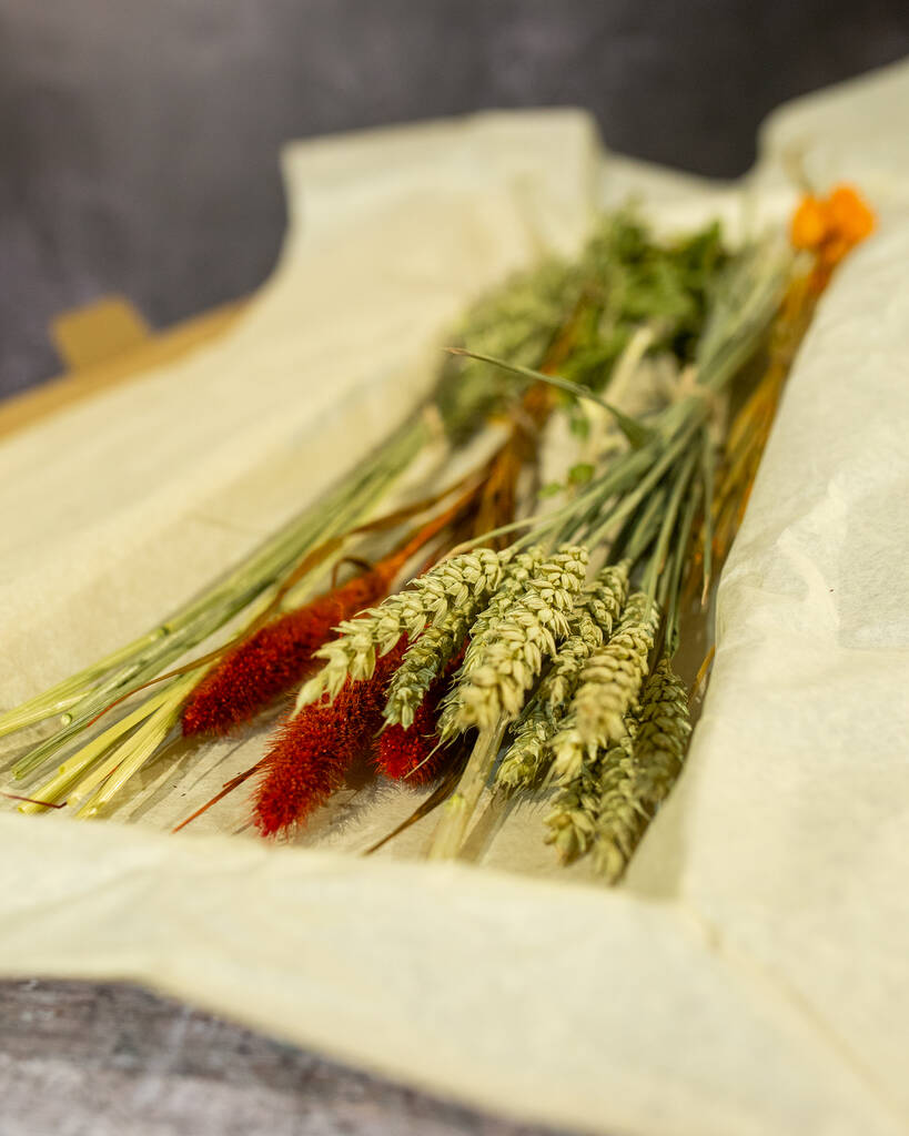 Orange Letterbox Flowers | Dried flowers Dried flowers Dried flowers