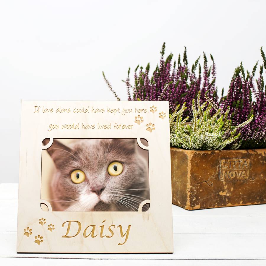 Personalised Memorial Cat Picture Frame | Picture frames Home Accessories Picture frames