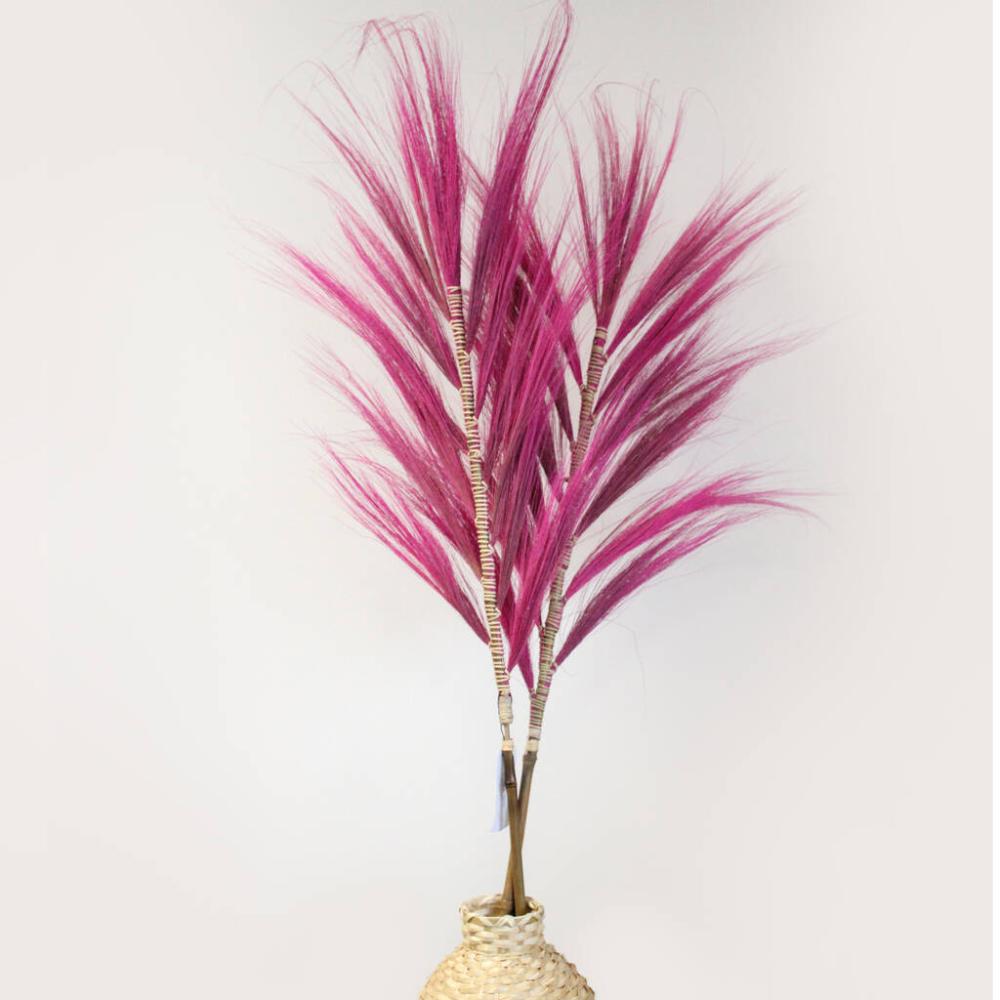 Pink Rayung Pampas Grass Set | Dried flowers Dried flowers Dried flowers