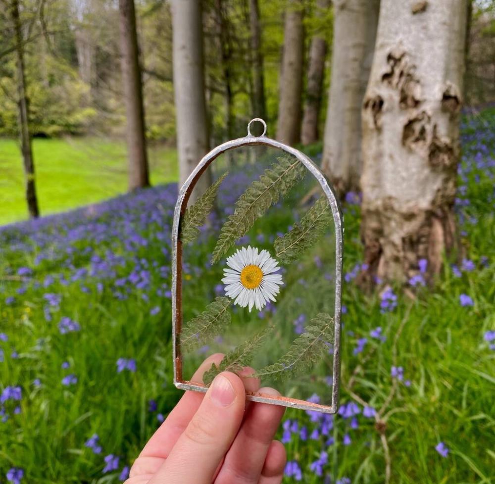 Pressed Daisy And Fern Glass Flower Frame | Picture frames Home Accessories Picture frames