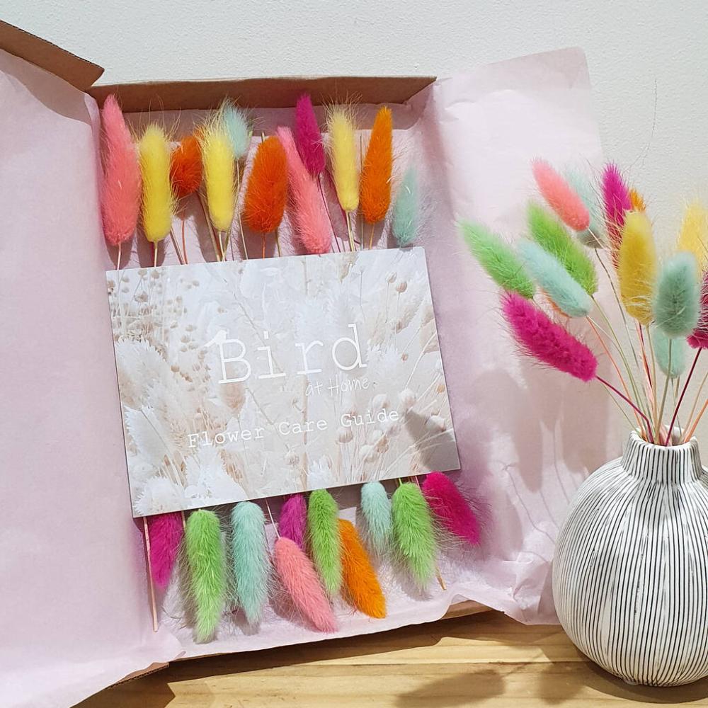 Rainbow Letterbox Dried Bunny Tail Flowers | Dried flowers Dried flowers Dried flowers