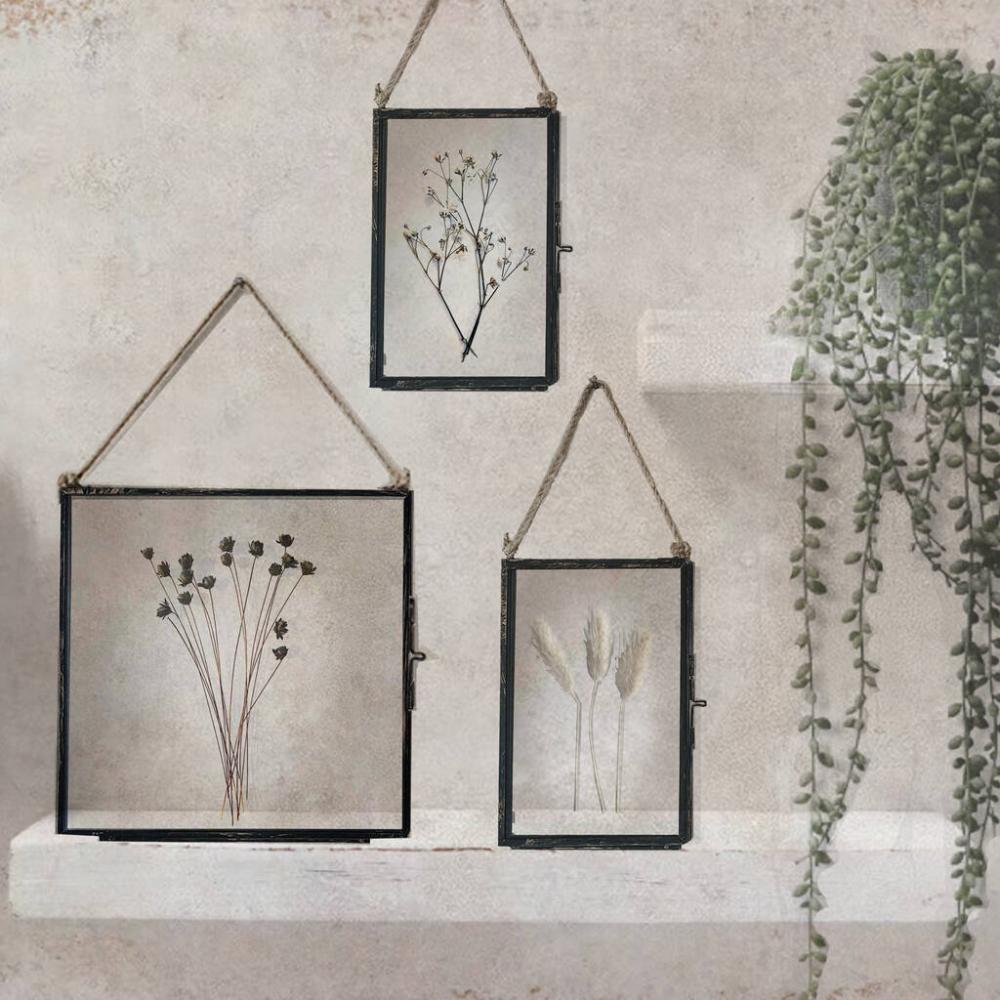 Set Of Pressed Flower Frames: Black Daisy, Bunny Tails | Dried flowers Dried flowers Dried flowers