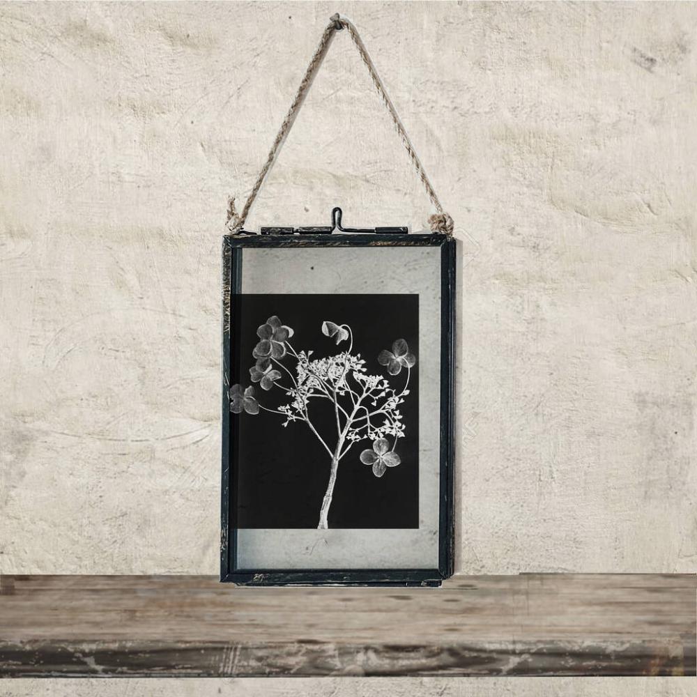 Small Antique Frame: Dried Hydrangea Flower Art Print | Picture frames Dried flowers Dried flowers