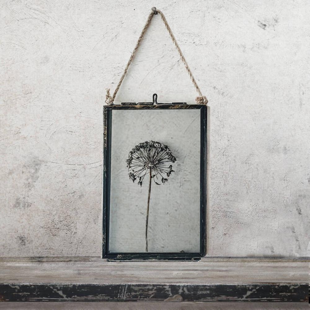 Small Antique Pressed Flower Frame Dried Allium | Dried flowers Dried flowers Dried flowers