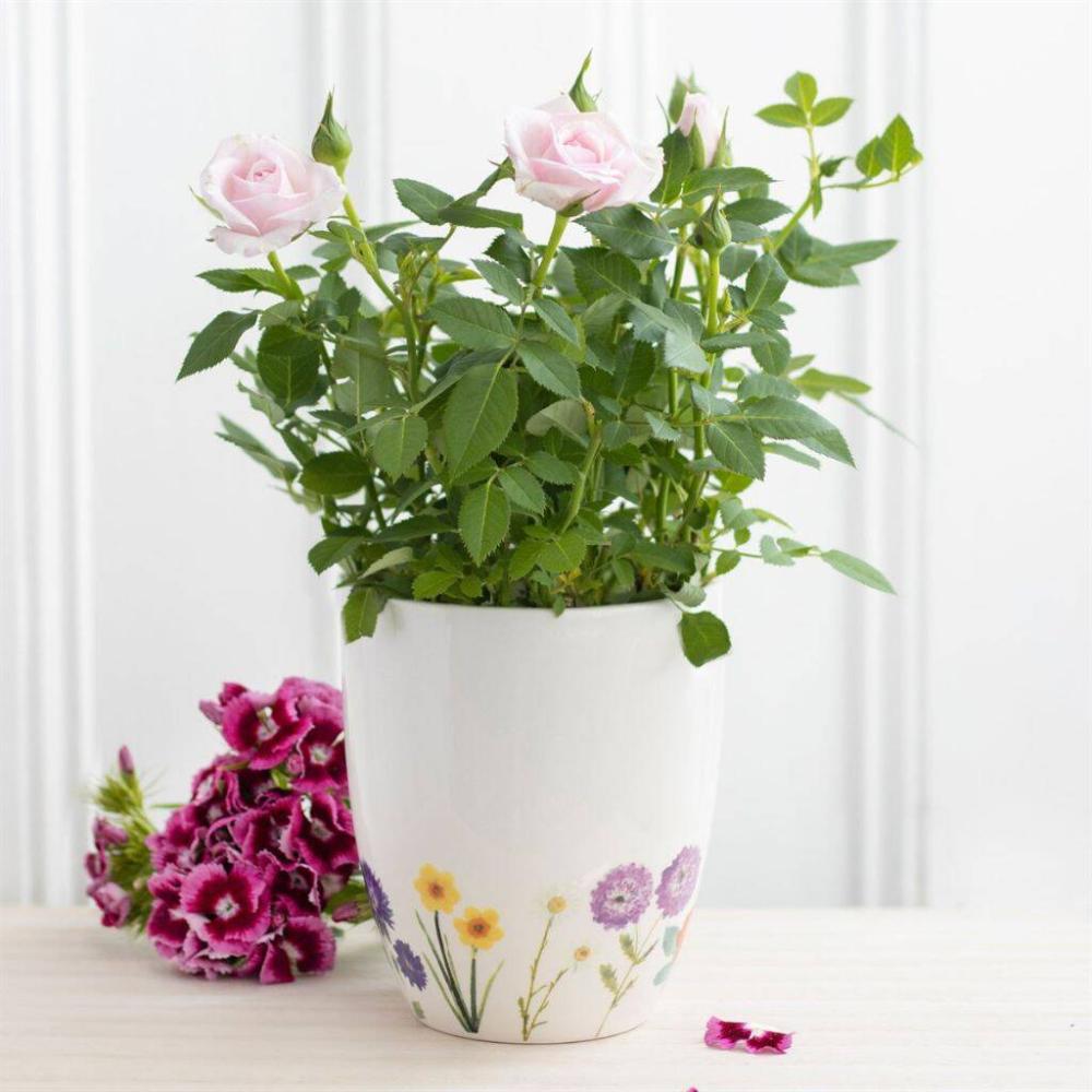 Wildflower Ceramic Plant Pot | Plant pots Home Accessories Plant pots