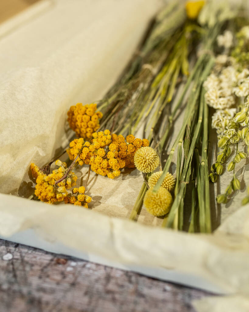 Yellow Letterbox Flowers | Dried flowers Dried flowers Dried flowers