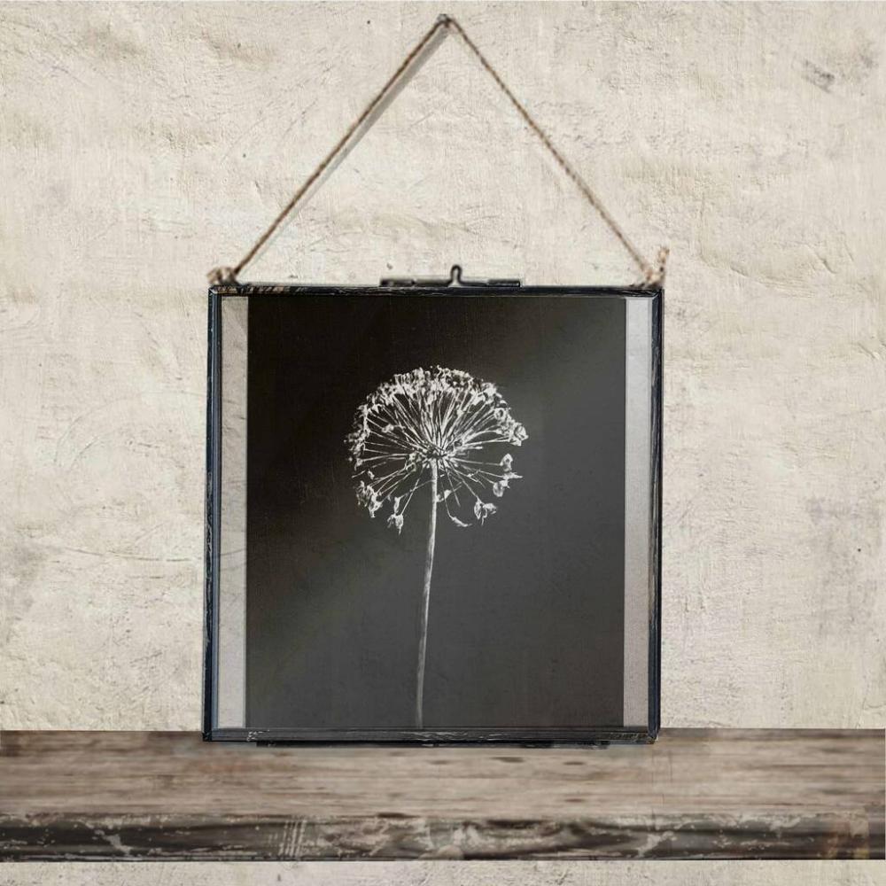 Large Vintage Frame: Dried Allium Flower Art Print | Picture frames Dried flowers Dried flowers