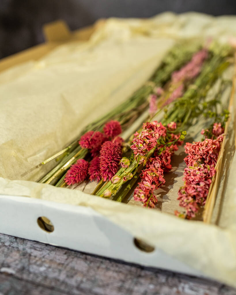 Pink Letterbox Flowers | Dried flowers Dried flowers Dried flowers