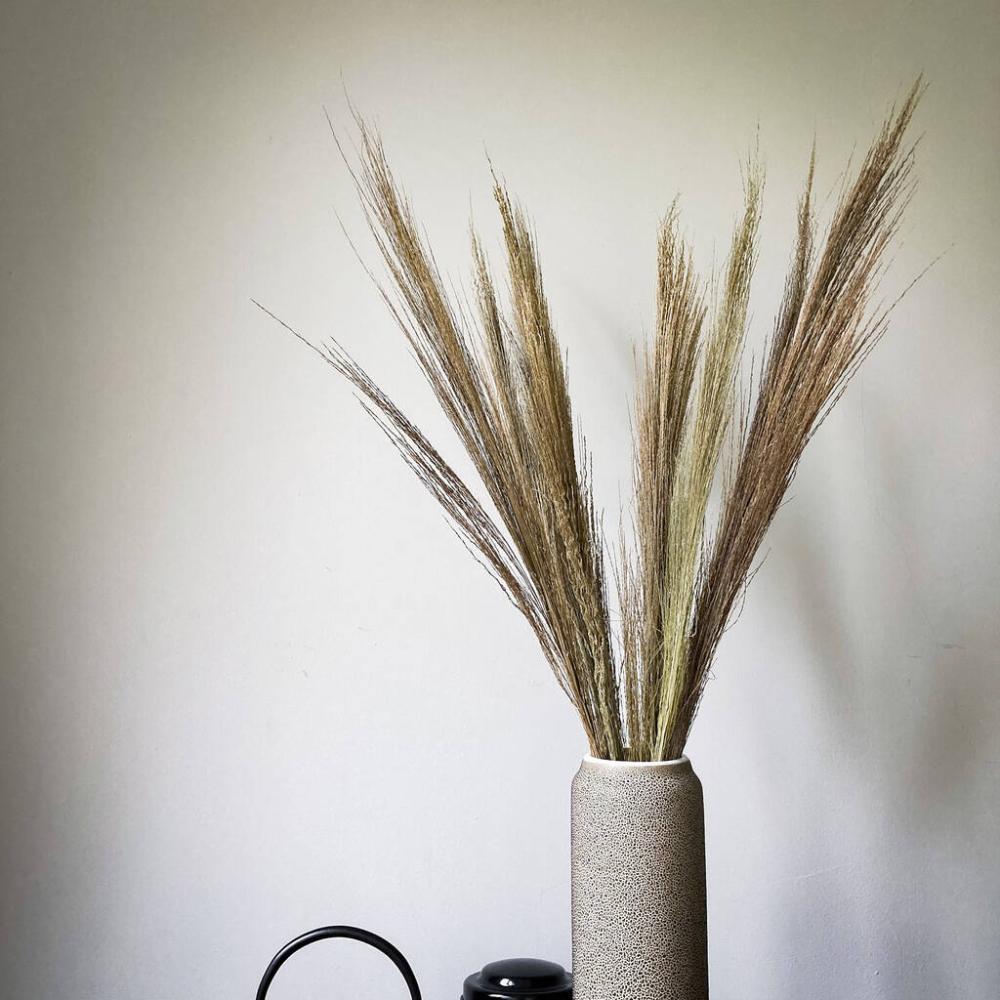 Broom Grass Stem Bouquet | Dried flowers Dried flowers Dried flowers